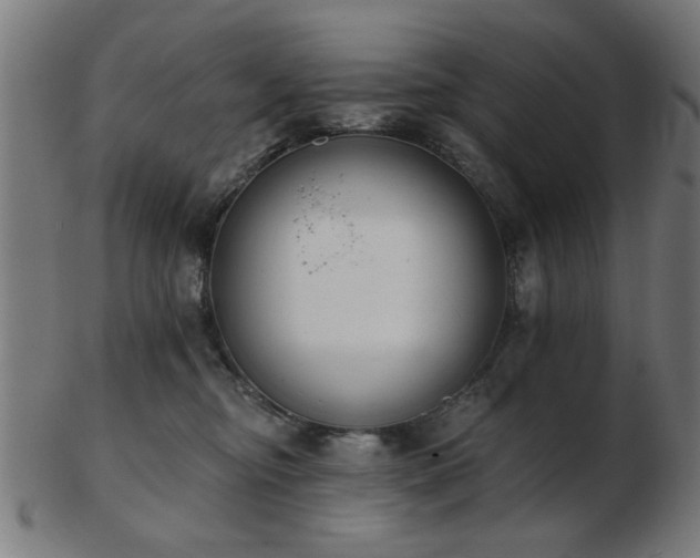X0000103420374200809121313