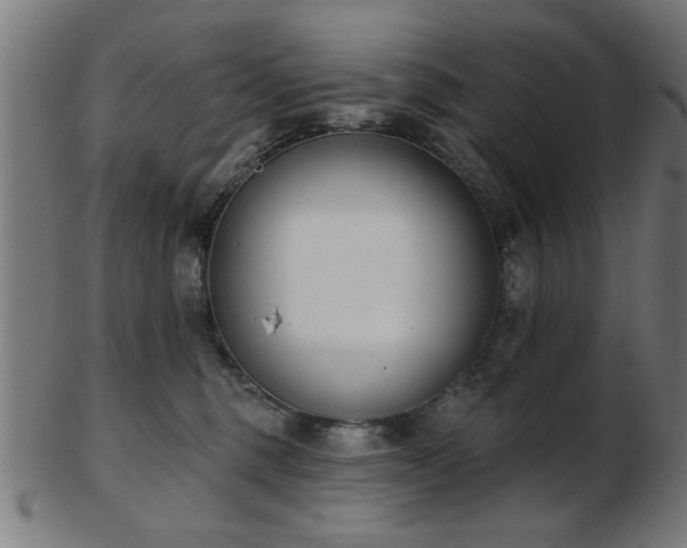 X0000103420375200809121313
