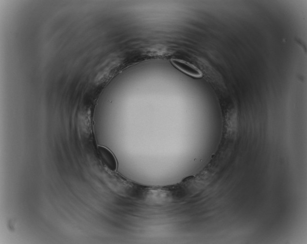 X0000103420376200809121313