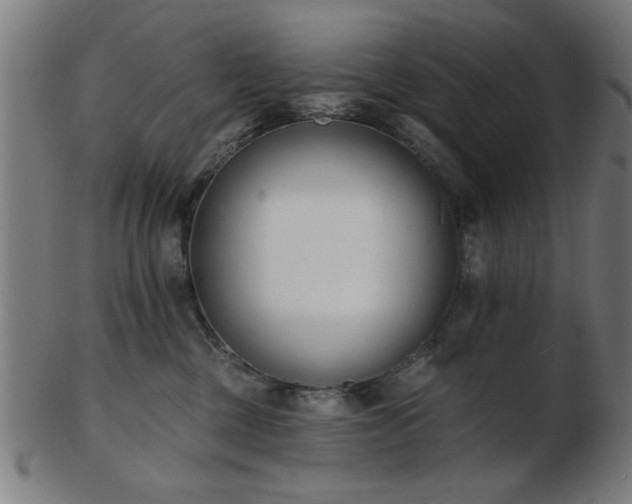 X0000103420377200809121313