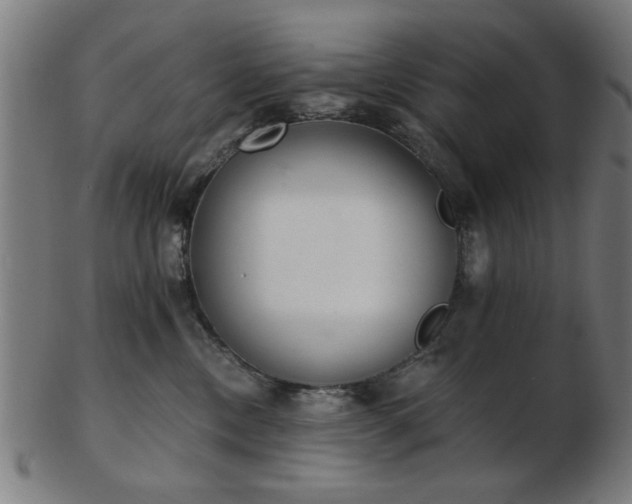 X0000103420378200809121313