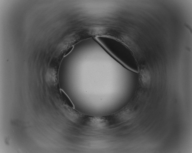 X0000103420380200809121313