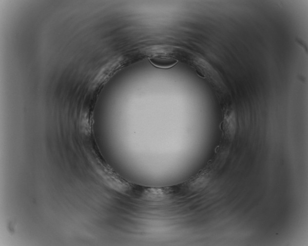 X0000103420381200809121313