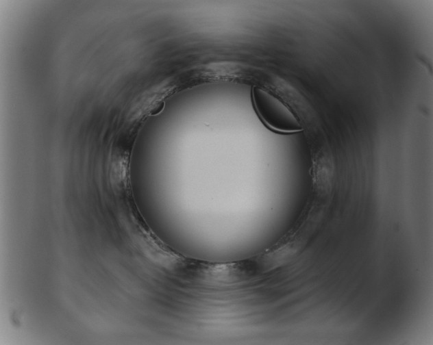 X0000103420382200809121313