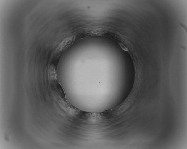 X0000103420384200809121313