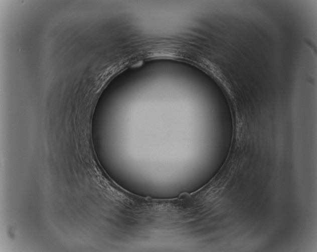 X0000103420385200809121312