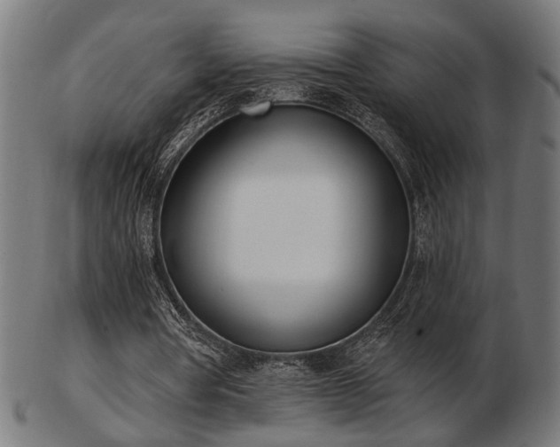 X0000103420386200809121312