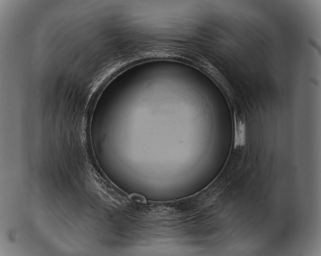 X0000103420387200809121312