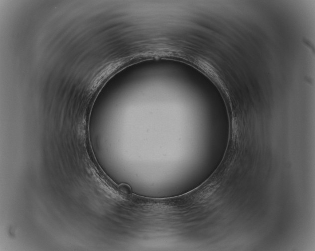 X0000103420389200809121312