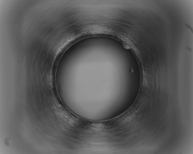 X0000103420391200809121312