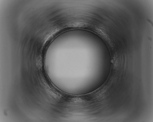 X0000103420392200809121312