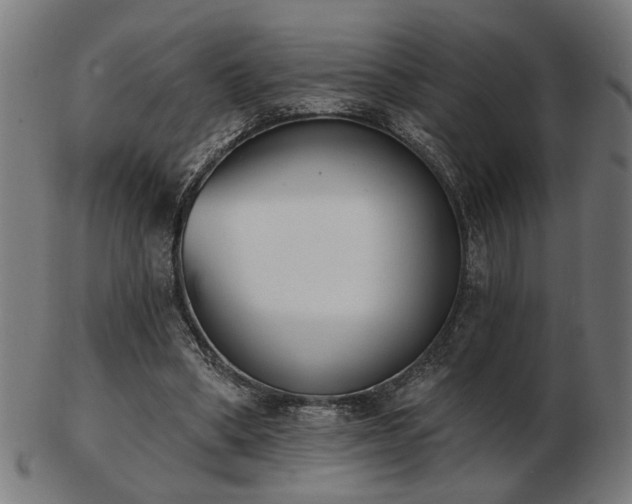 X0000103420394200809121312