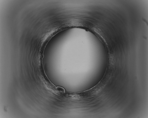 X0000103420395200809121312