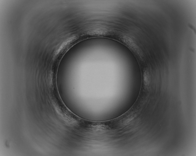 X0000103420396200809121312