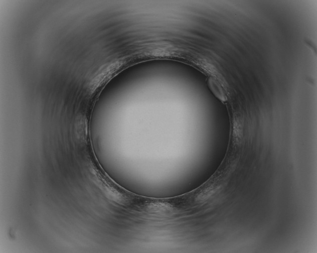 X0000103420397200809121312