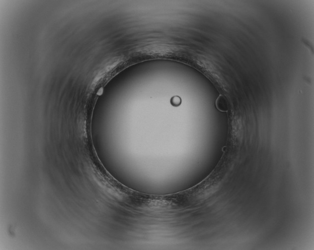 X0000103420399200809121312