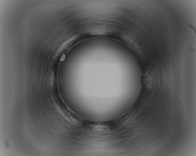X0000103420400200809121312