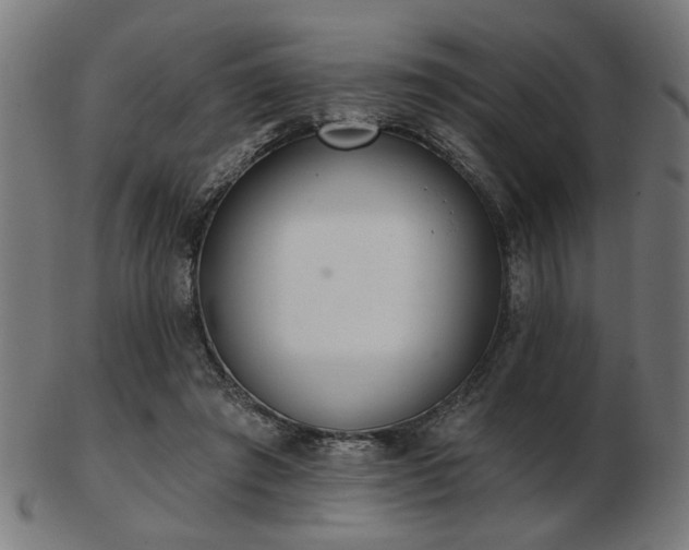 X0000103420401200809121312