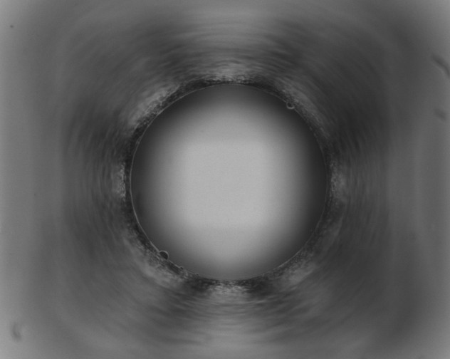 X0000103420403200809121312