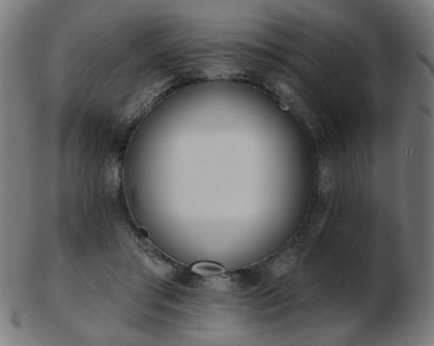 X0000103420405200809121312