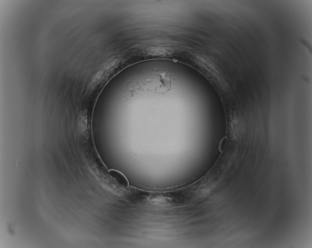 X0000103420407200809121312