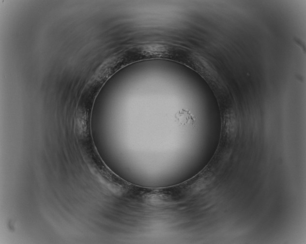 X0000103420408200809121312