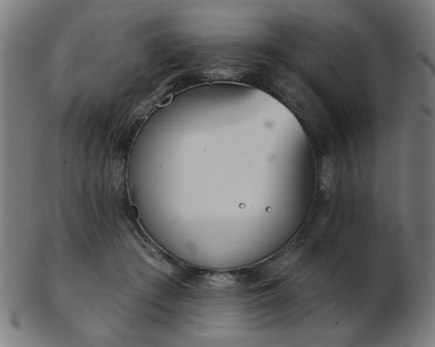 X0000103420409200809121312