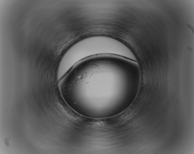 X0000103420411200809121312