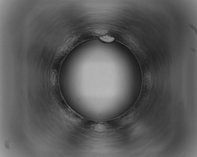 X0000103420412200809121312