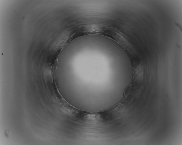 X0000103420415200809121312