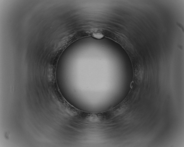 X0000103420416200809121311