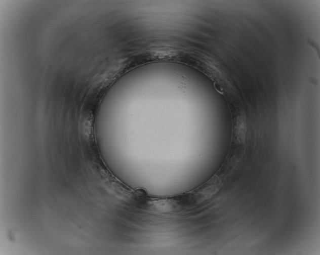 X0000103420417200809121311