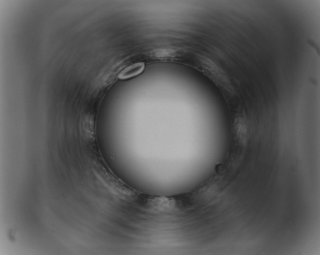 X0000103420421200809121311