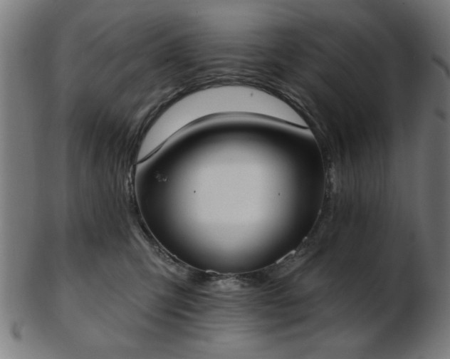 X0000103420423200809121311