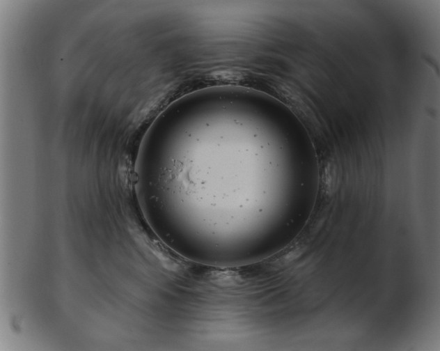 X0000103420424200809121311