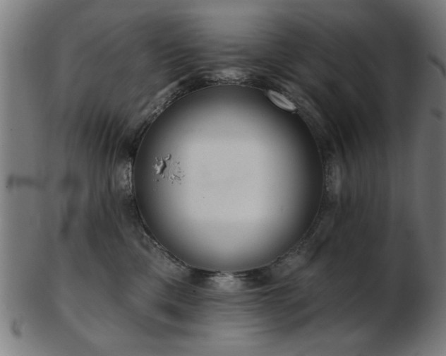 X0000103420425200809121311
