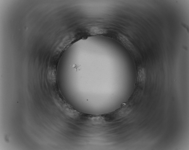 X0000103420426200809121311