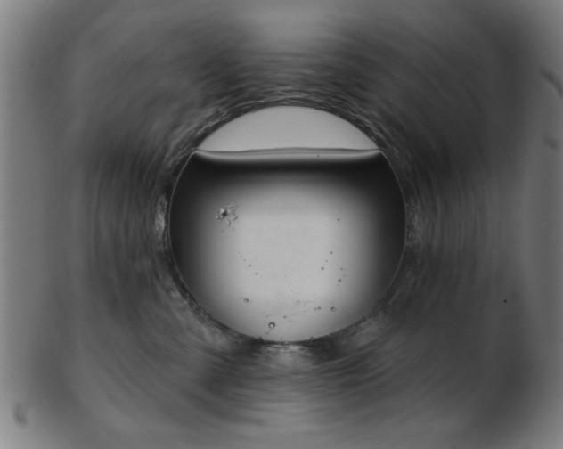 X0000103420427200809121311