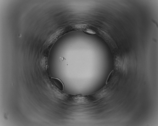 X0000103420428200809121311
