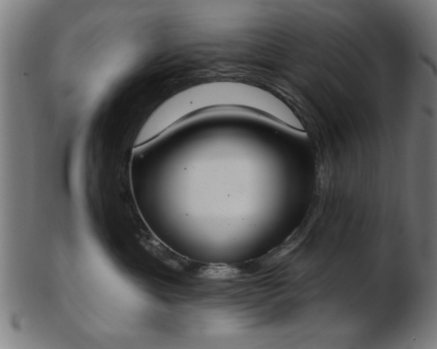 X0000103420429200809121311
