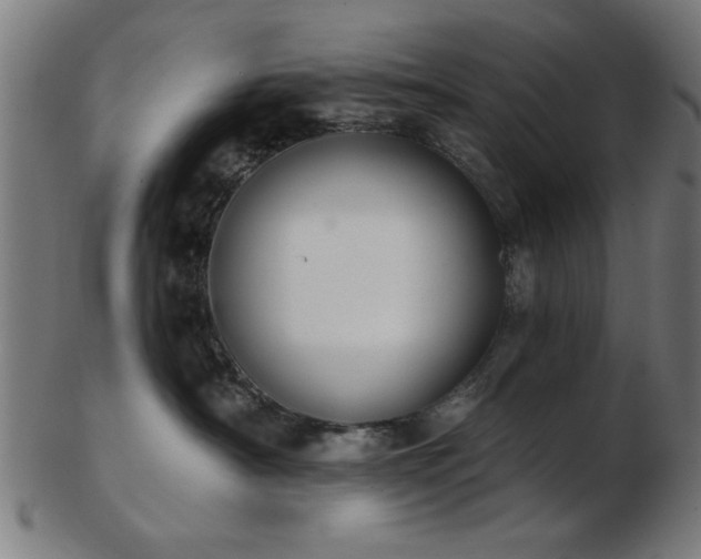 X0000103420430200809121311