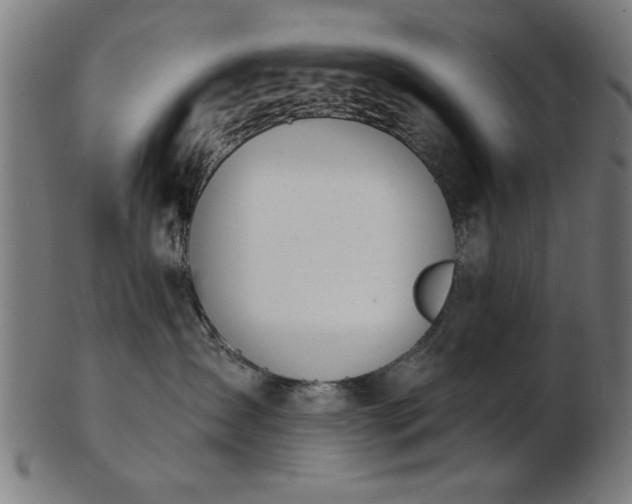 X0000103420431200809121311