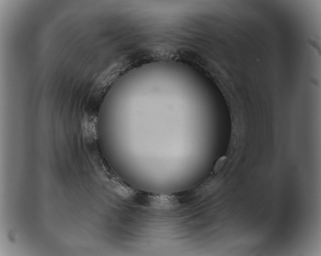 X0000103420432200809121311