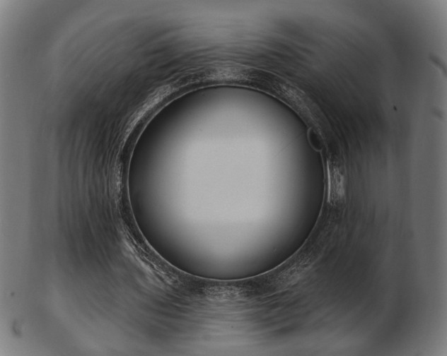 X0000103420435200809121310