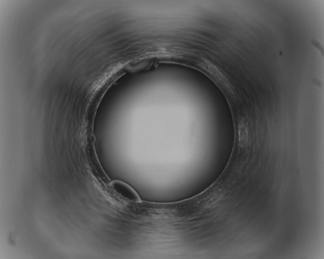 X0000103420436200809121310