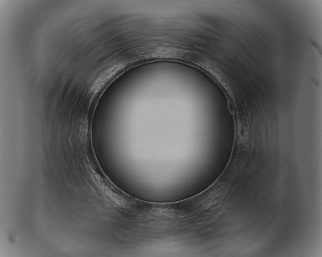 X0000103420437200809121310