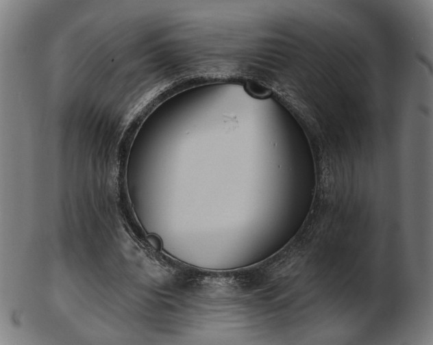 X0000103420440200809121311