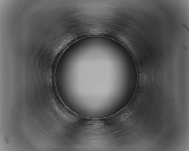 X0000103420443200809121311