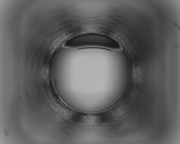 X0000103420444200809121311