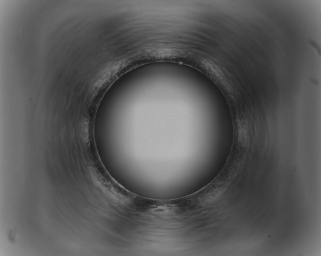 X0000103420447200809121311